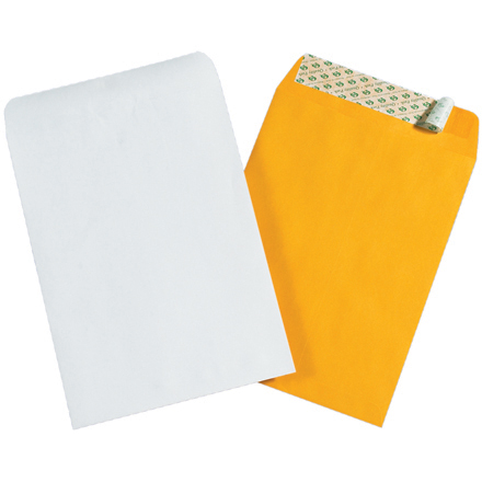 9 <span class='fraction'>1/2</span> x 12 <span class='fraction'>1/2</span>" White Self-Seal Envelopes