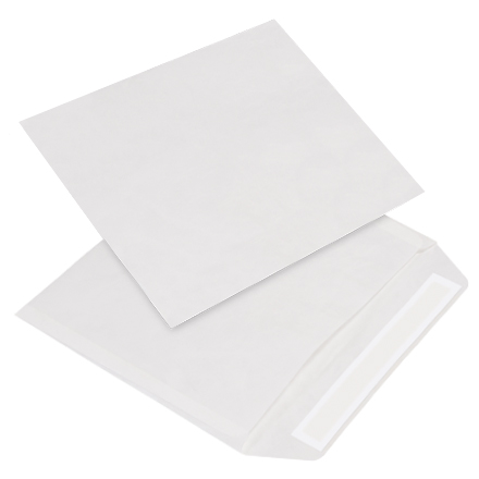 9 x 12" White Flat Tyvek<span class='rtm'>®</span> Envelopes
